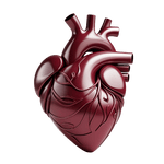 Cardiology Billing Services