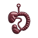 Gastroenterology Billing Services